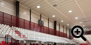 Pannelli Forati per Fonoisolamento e Fonoassorbimento